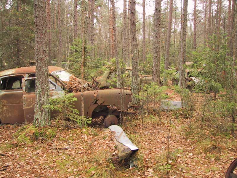 2003-11-08 ryd - Postapokalyptisk skog.